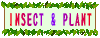 INSECT_PLANT