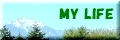 MY LIFE