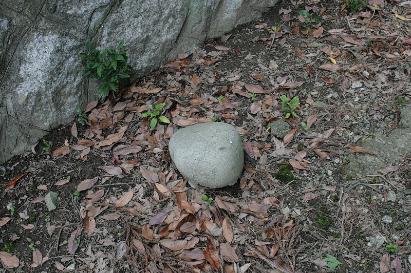 本殿横の石