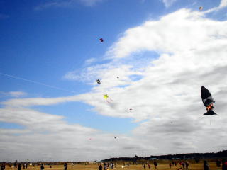 ���������i