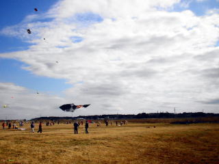 ���������i�Q