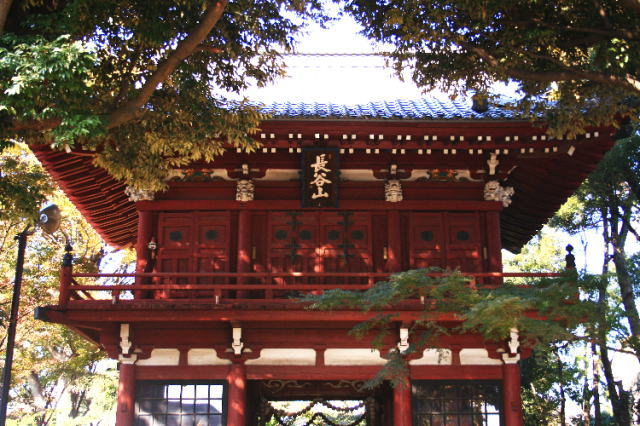 �{�y���̍g�t