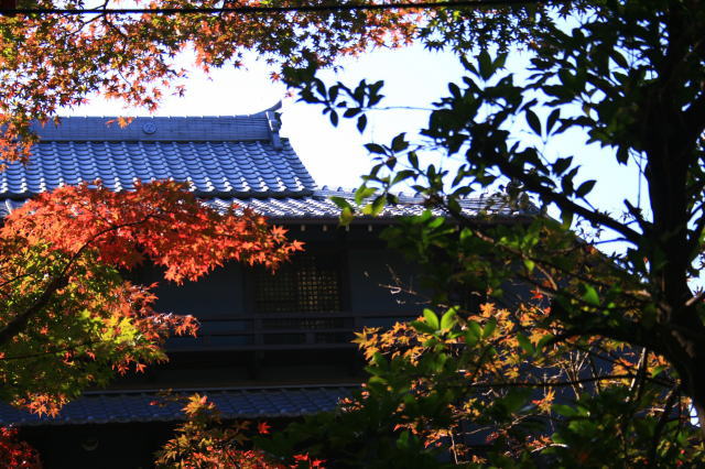 �{�y���̍g�t