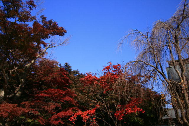 �{�y���̍g�t