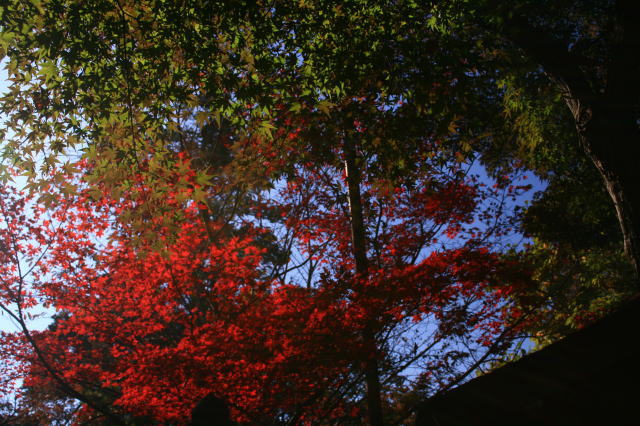 �{�y���̍g�t