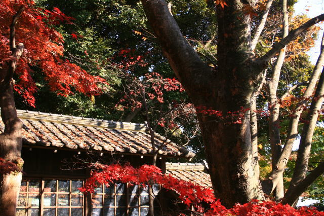 �{�y���̍g�t