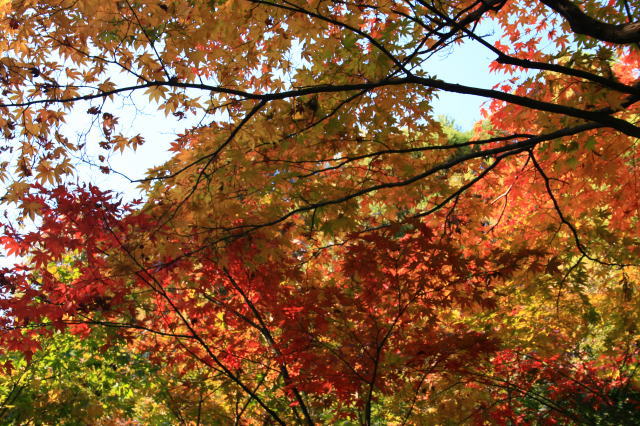 �{�y���̍g�t