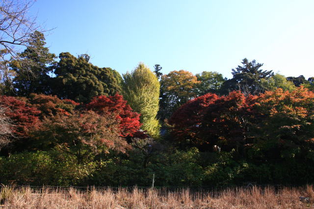 �{�y���̍g�t