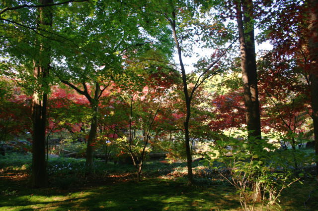 �{�y���̍g�t