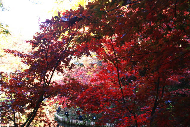 �{�y���̍g�t