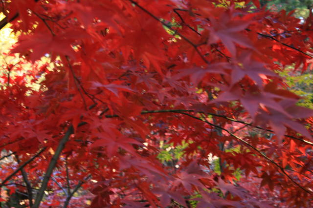 �{�y���̍g�t