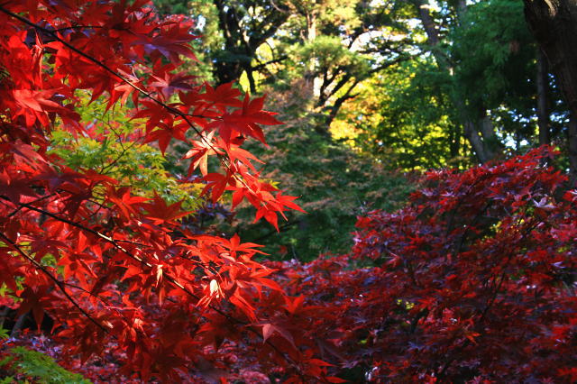 �{�y���̍g�t