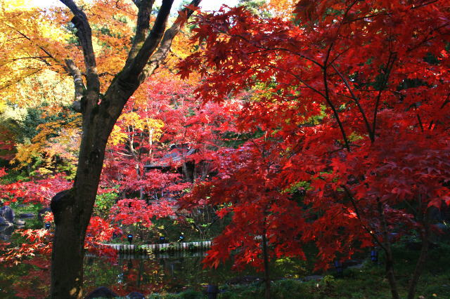 �{�y���̍g�t