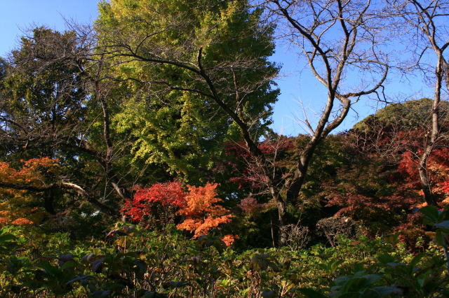 �{�y���̍g�t