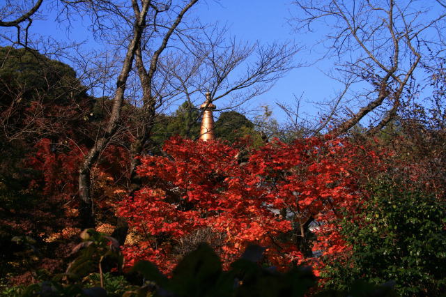 �{�y���̍g�t