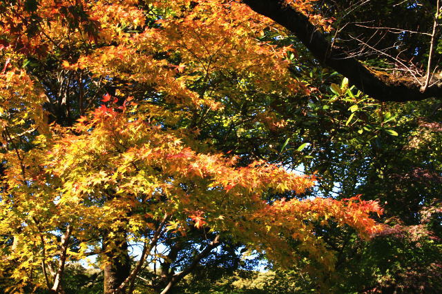 �{�y���̍g�t