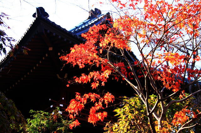 �{�y���̍g�t