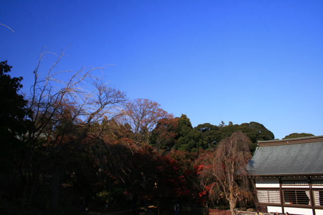 �{�y���̍g�t