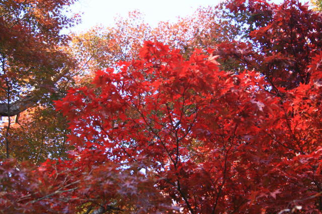 �{�y���̍g�t