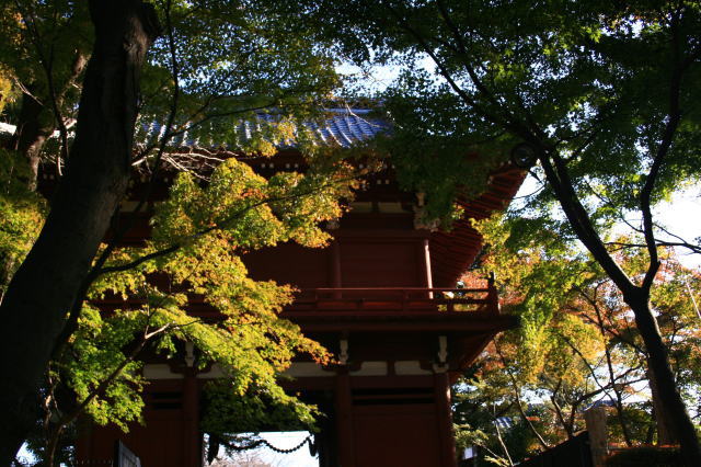 �{�y���̍g�t