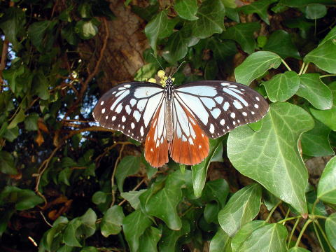 �A�T�M�}�_��