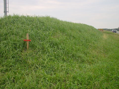 ���̕\���͉��H