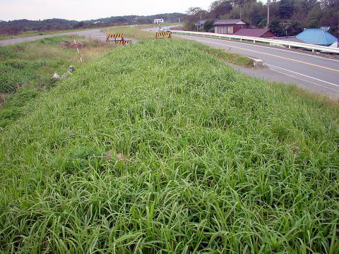 ���R�̏����H